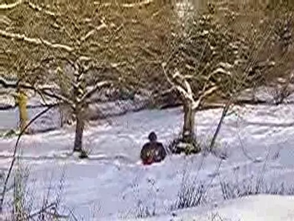 P1010011