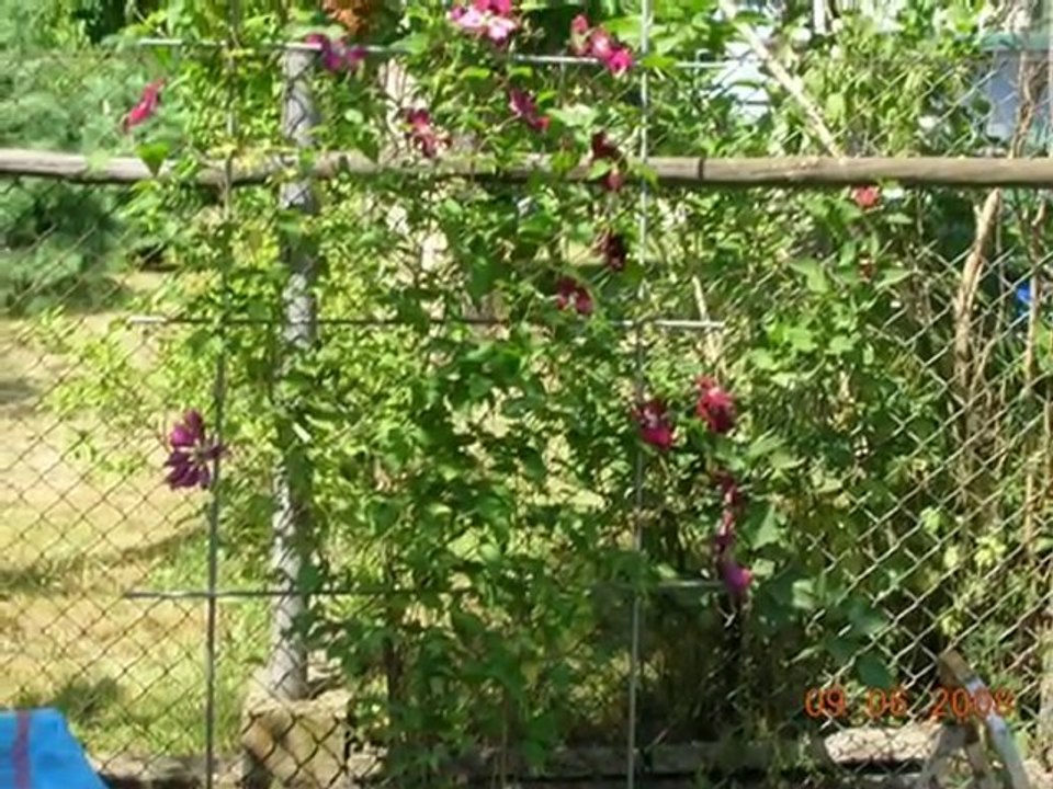 Moje miejsce na ziemi