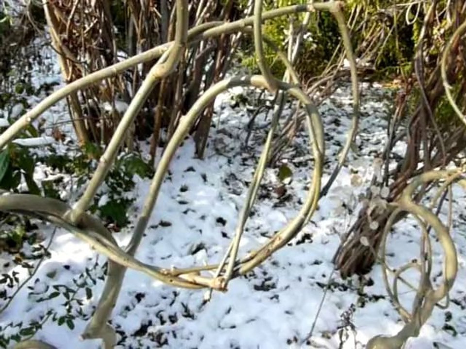 Sculptures-Vivantes en Métamorphoses-Automnales-neigeuses