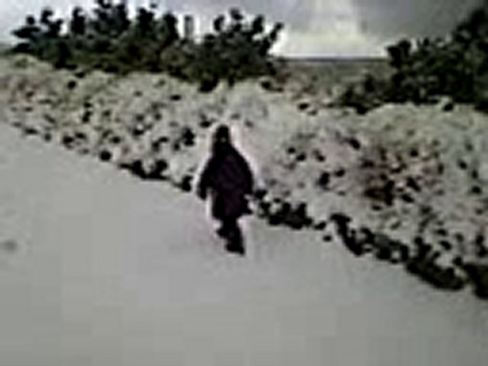 nous sous la neige