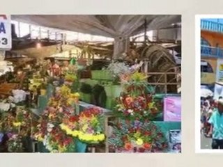 Elvira`s Tours Acapulco  Tour guide