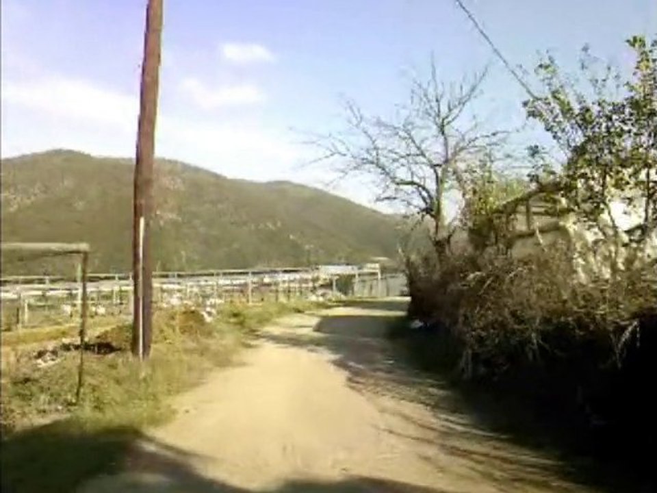 dolapcilar 2010 no1