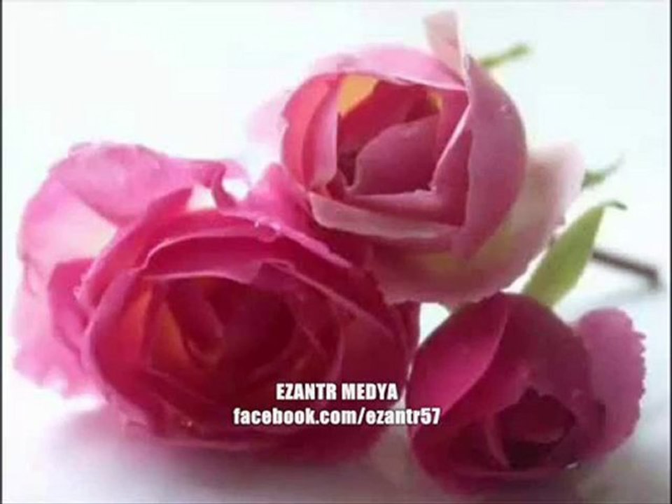 O HERKESİN PEYGAMBERİ..