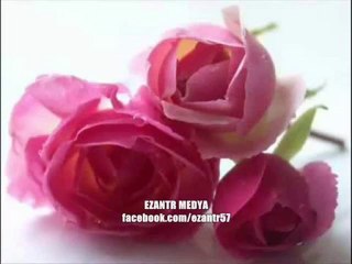 O HERKESİN PEYGAMBERİ..