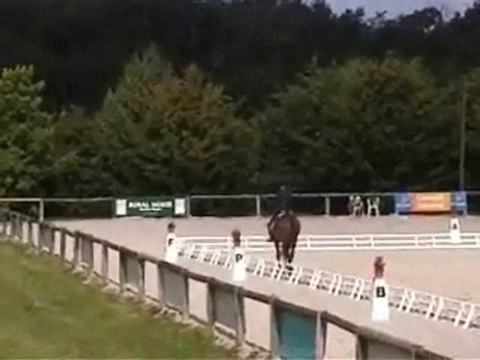 OTRE QUACK SANDILLON 2010 CCI