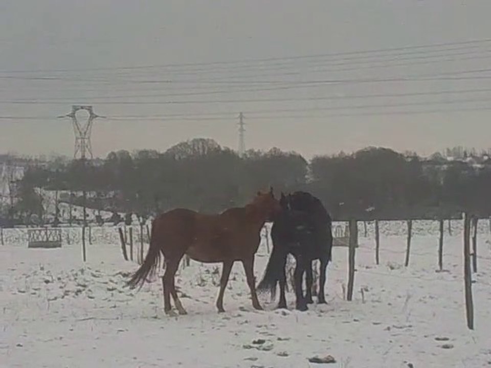 Just et Tjamko (1)