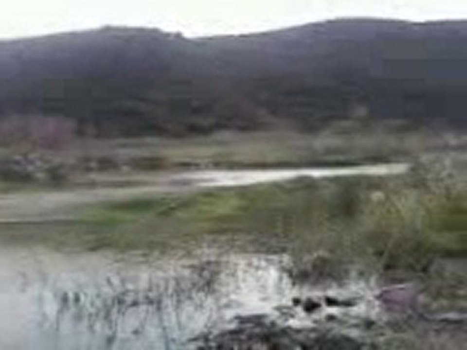 video5