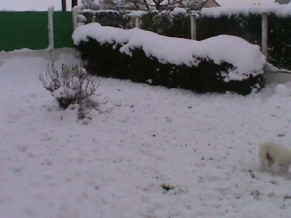 20101204112620