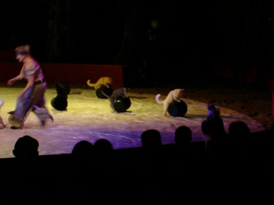 super  les chats sept 2010