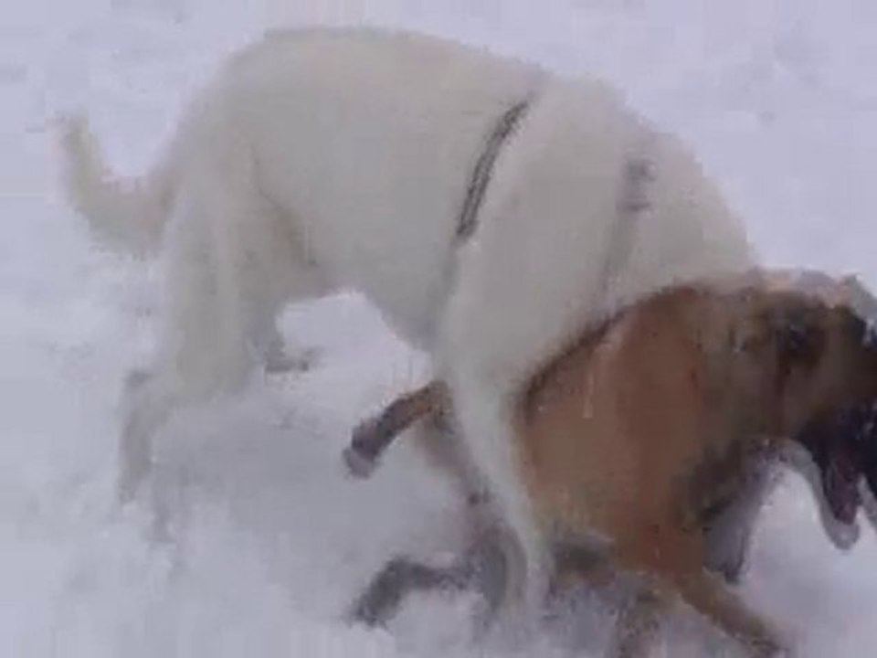 Jeu