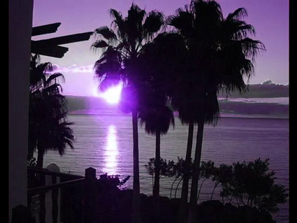 Bora Canymany ' Sad Haiti '