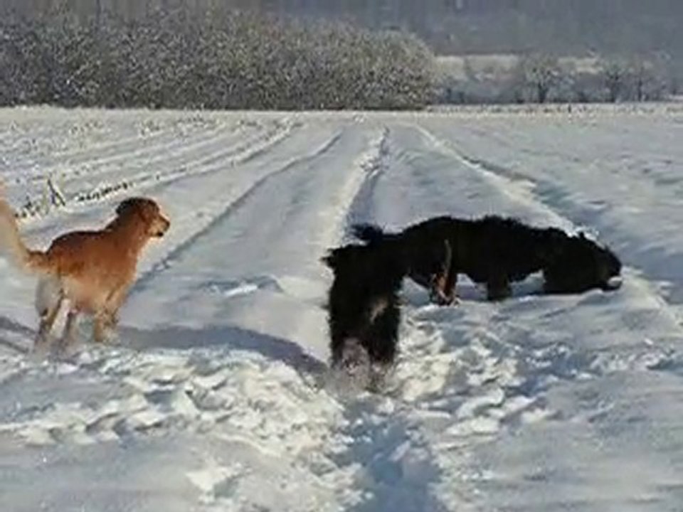 balade dans la neige  4-12-2010