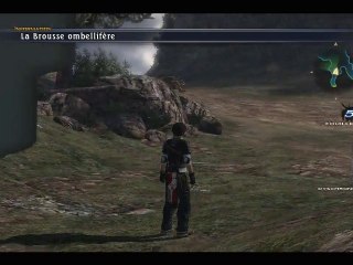 The Last Remnant < 05 > La Brousse Ombellifère.