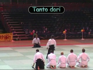 2010.12.04 - Halle Carpentier - Mitsurukaï - Aïkibudo Kobudo