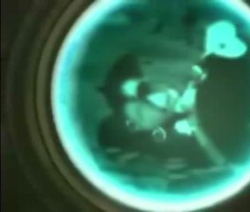 AMV WAKFU Grougaloragran vs Nox