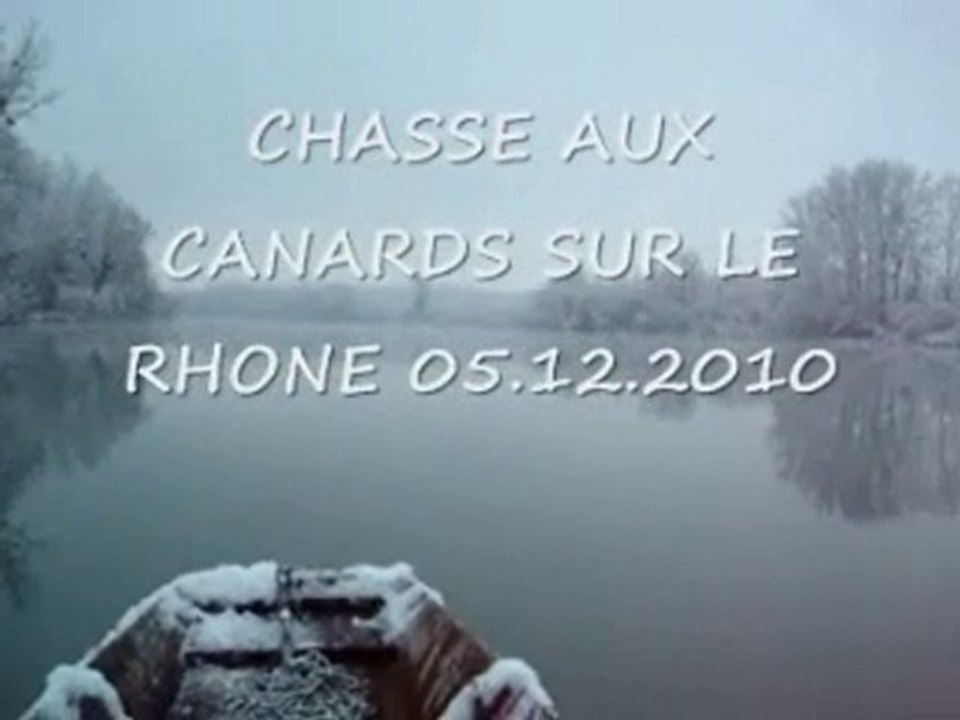 CHASSE AUX CANARDS DU 05.12.2010