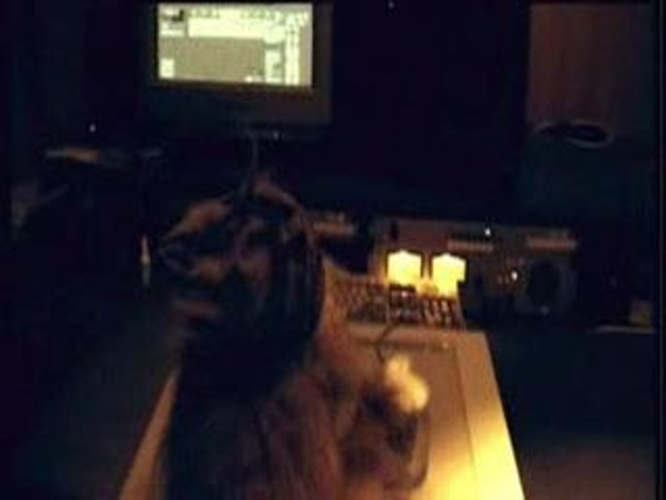 1er Gaou magic system