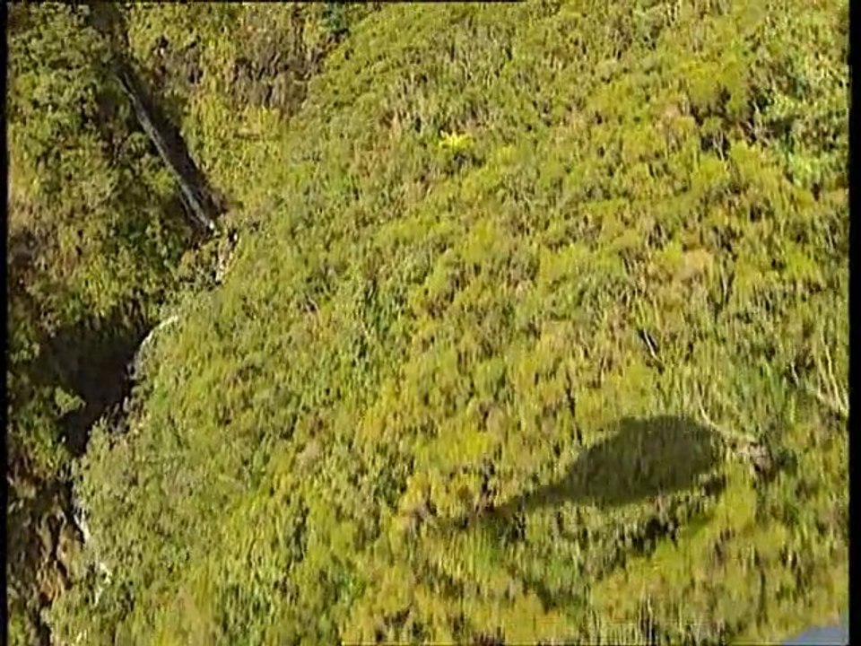 un petit voyage dans  l'ile de la Réunion