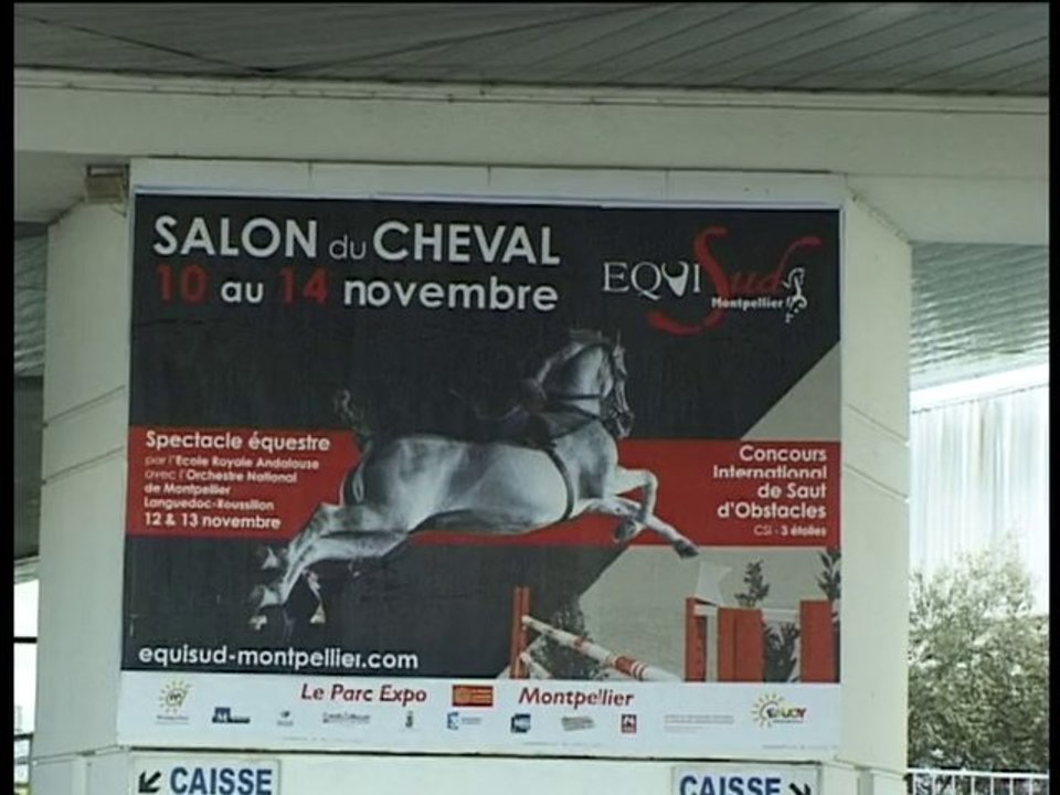 Equisud 2010, chevaux et cavaliers se sont fait plaisir