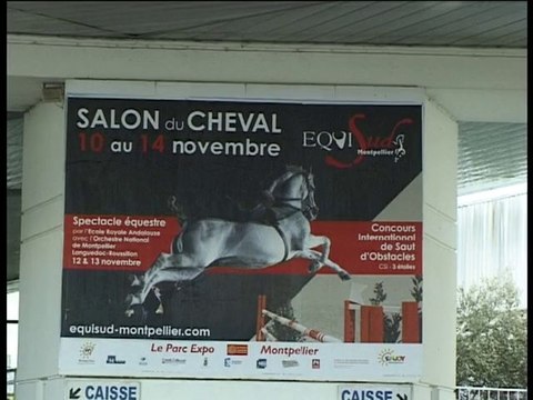 Equisud 2010, chevaux et cavaliers se sont fait plaisir