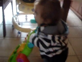 Canard marche avec son pousse-pousse