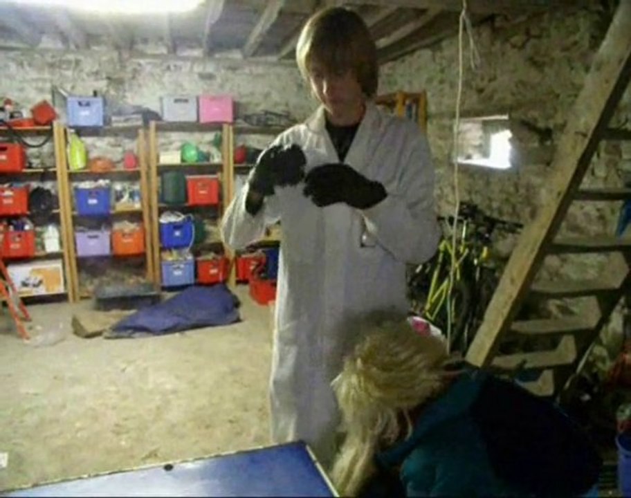 Les Inexpérimentés: BAIS (Partie 3)