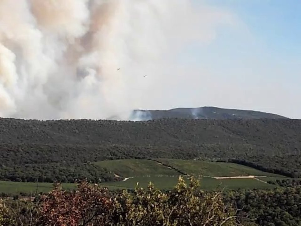 SDC12655