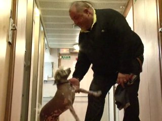 Des sans-abri acceptés avec leurs chiens sur une péniche