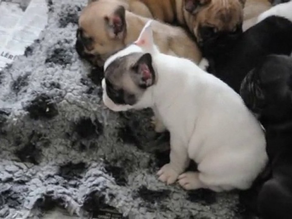 Les bébés de Clementine (2)