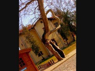 Birol Can - Karaağaç Türküsü