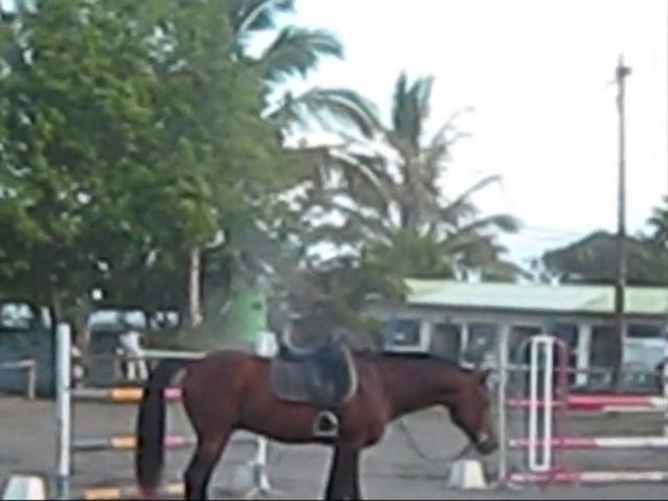 challenge 05.12.10