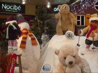 Noël 2010 - Décos animées Claye-Souilly - Carrefour.wmv