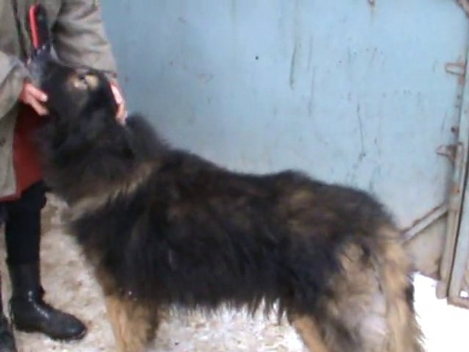 20101204153011