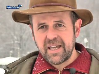 Combien coûte un sapin de Noël ? (Alsace)