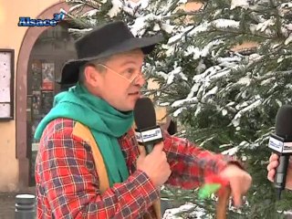 D'où vient le sapin de Noël? (Alsace)