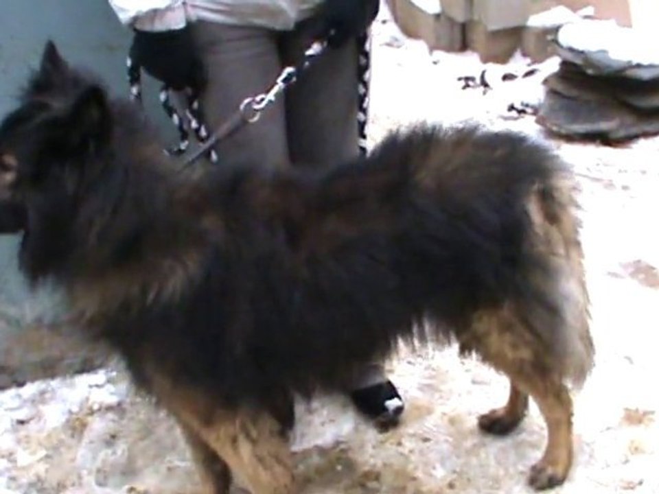 20101204161937