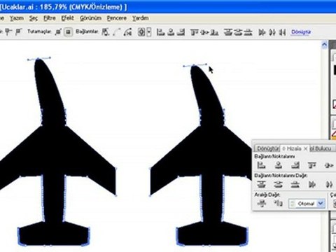 adobe illustrator cs3 görsel eğitimleri - seçim aracı2