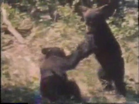 WEDU Tampa promos and ID first in stereo 1987