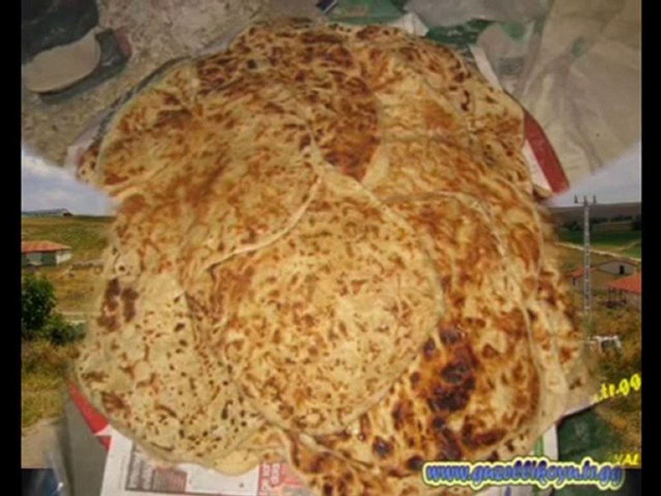 Hasan Huseyin Ören Olmus Güzelli köyüm 3