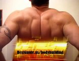 BODYBUILDING : Body Building Tips | Personal Trainer Guides