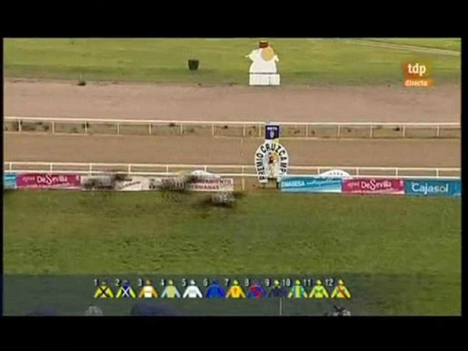 2010.12.05, nº 493 DH (Cruzcampo (AyG) BALATA