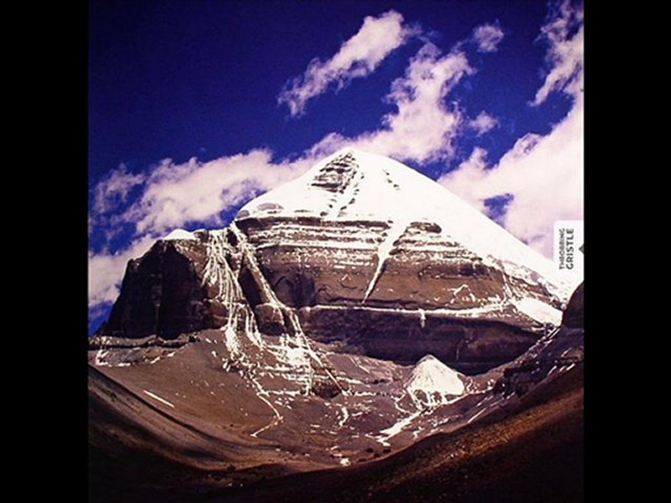 Throbbing Gristle - Endless Not