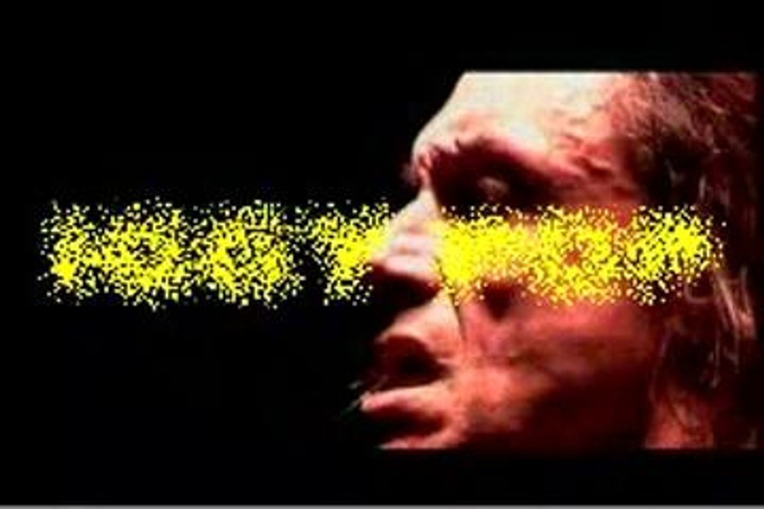 IGGY POP § I wanna be your dog § live