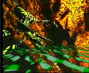 The Visions Of Shiva - Perfect Night