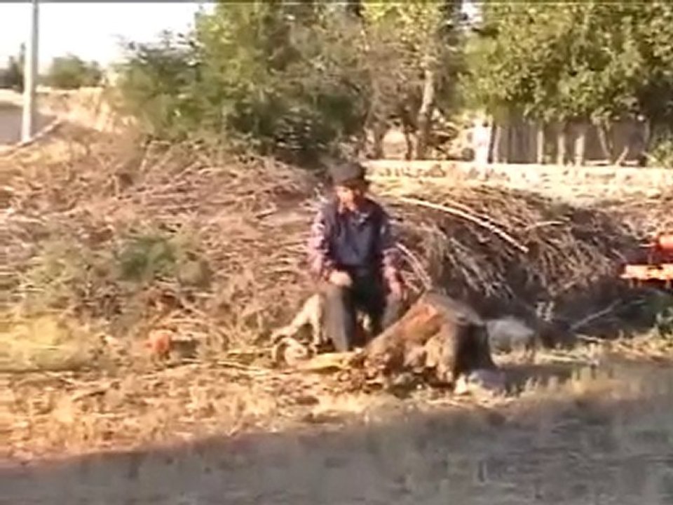 Gülşehir yeşilyurt köyü Rahmetli Ömer yavuzer ve veli yıldırım