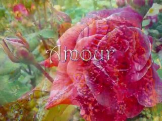 Bénédictions Archimagiques à toute la Création