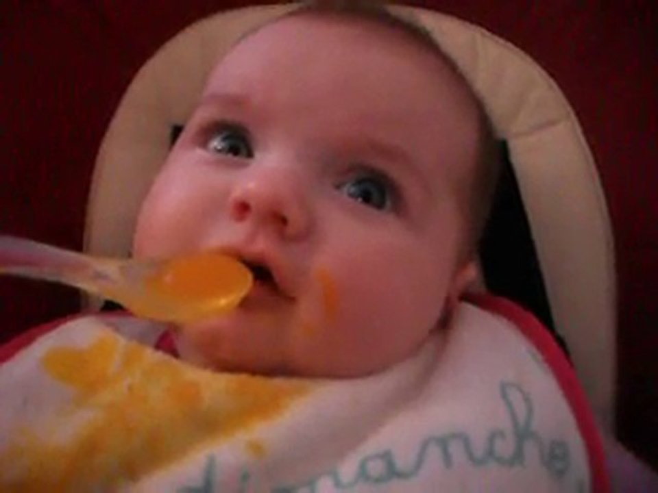 premiere puree de carotte