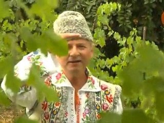 Nicolae Glib - Tot cu ochii la carare_(HD)