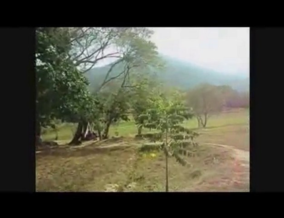 TEHUACALCO MOST RECENT VIDEO