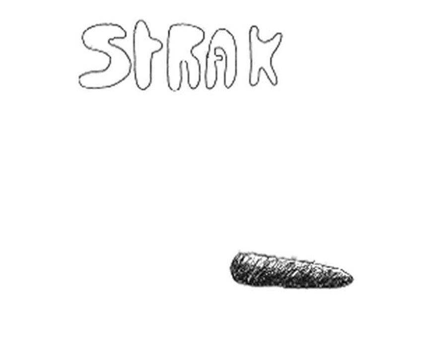 ANIM STRAK